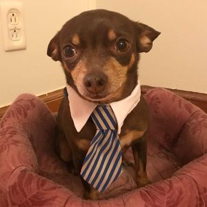 Meet your Posher, Lea